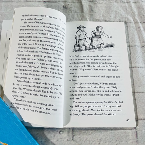 On The Bright Side 3I Reader Abeka 3rd Grade - Picture 5 of 11